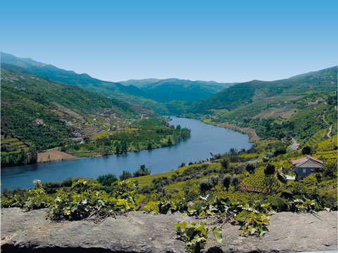 Crociera sul Douro, il Douro.